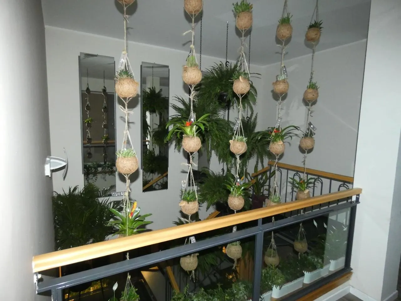 B&B Belvedere Suite Μαρανέλλο Bed and Breakfast