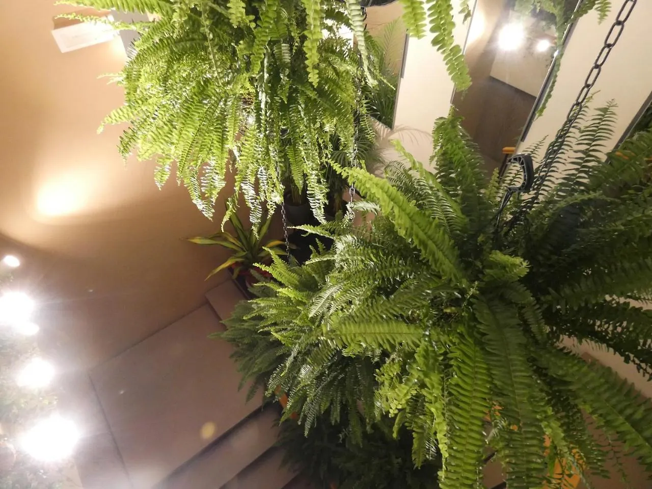 B&B Belvedere Suite Μαρανέλλο Ιταλία